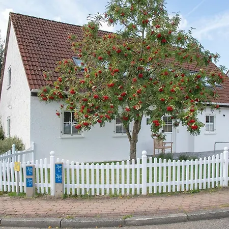 Reiher 1 West Grömitz